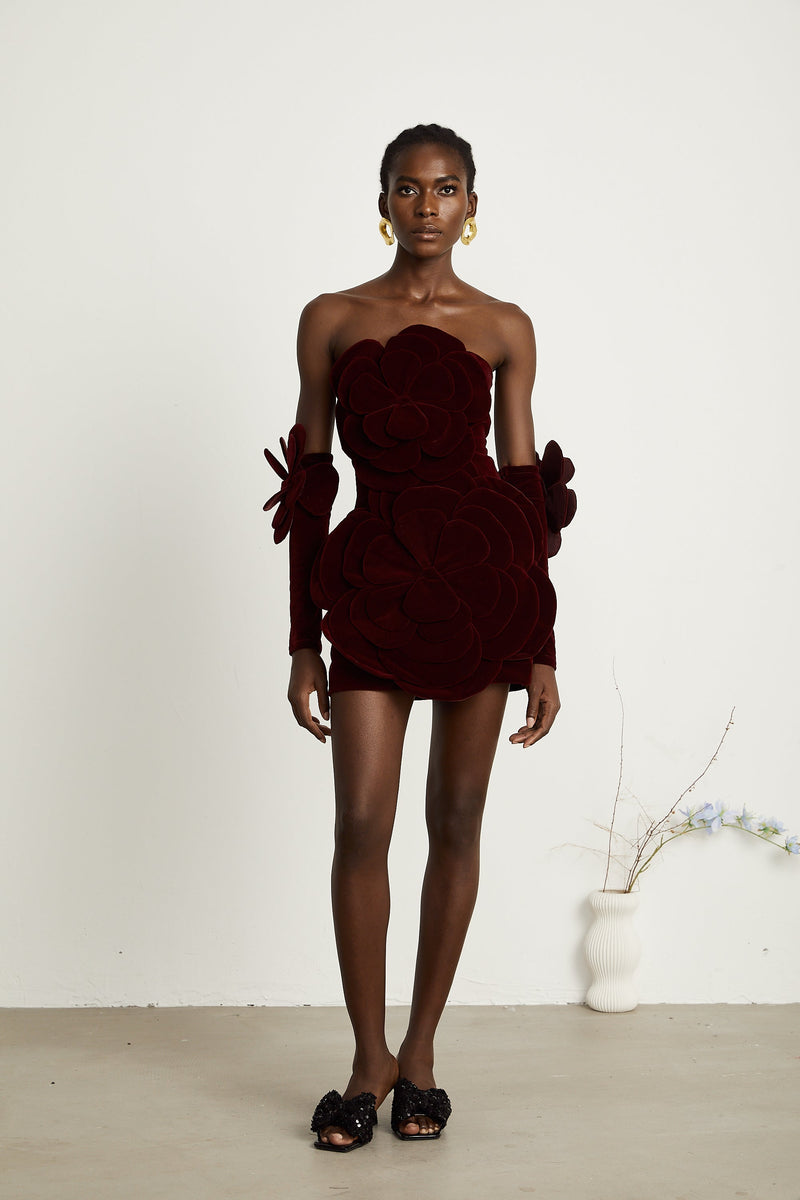 Azura Red Floral Appliqué Mini Dress