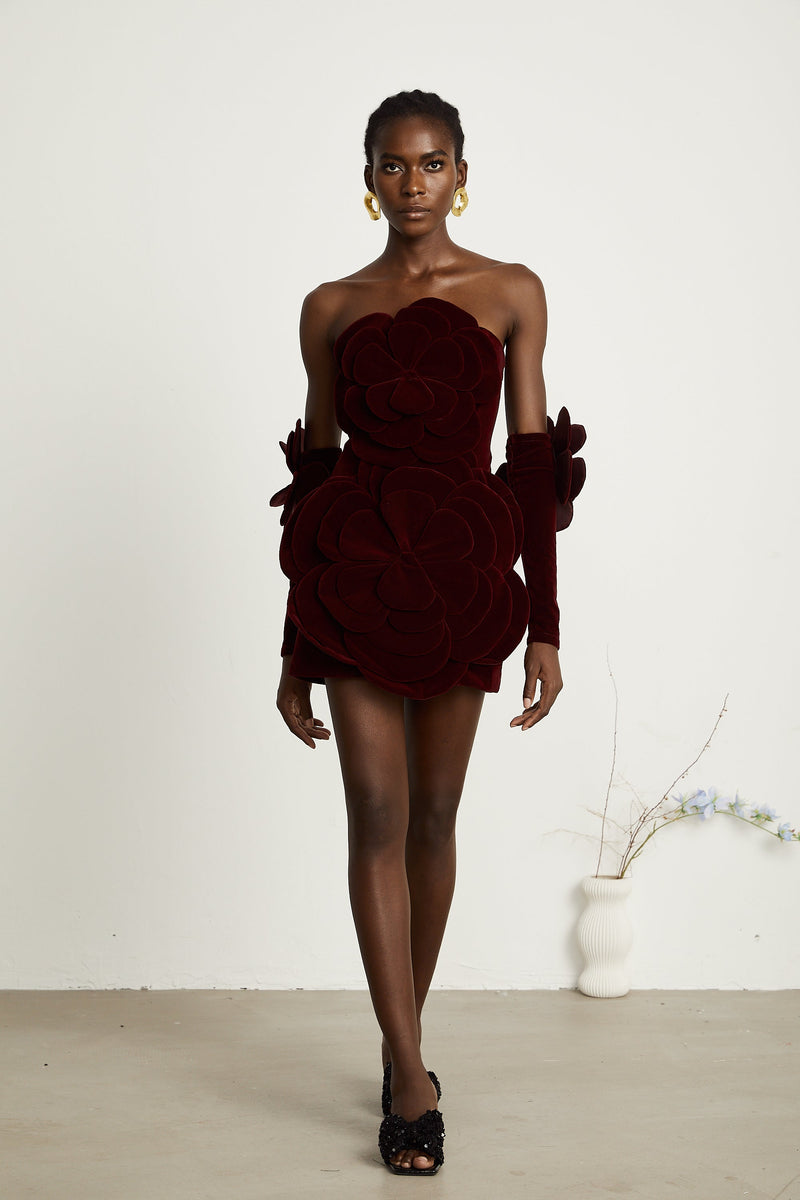 Azura Red Floral Appliqué Mini Dress